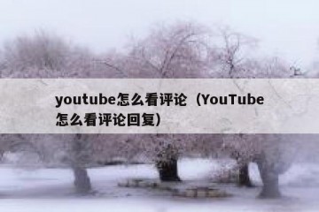 youtube怎么看评论（YouTube怎么看评论回复）
