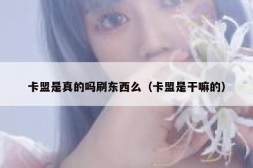 卡盟是真的吗刷东西么（卡盟是干嘛的）