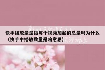 快手播放量是指每个视频加起的总量吗为什么（快手中播放数量是啥意思）