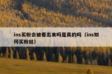 ins买粉会被看出来吗是真的吗（ins如何买粉丝）