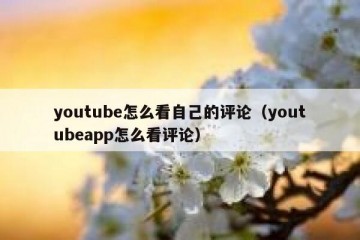 youtube怎么看自己的评论（youtubeapp怎么看评论）