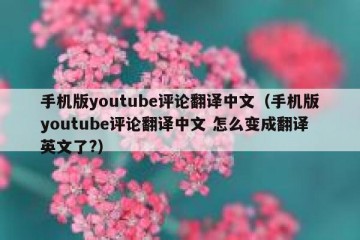 手机版youtube评论翻译中文（手机版youtube评论翻译中文 怎么变成翻译英文了?）