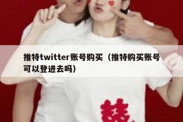 推特twitter账号购买（推特购买账号可以登进去吗）