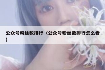 公众号粉丝数排行（公众号粉丝数排行怎么看）