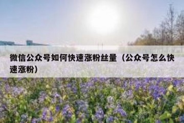 微信公众号如何快速涨粉丝量（公众号怎么快速涨粉）