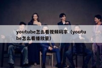 youtube怎么看视频码率（youtube怎么看播放量）
