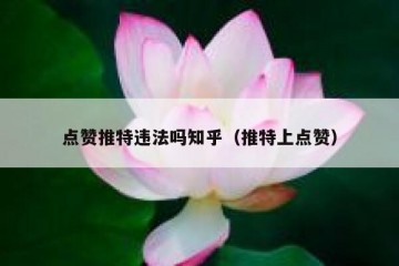 点赞推特违法吗知乎（推特上点赞）