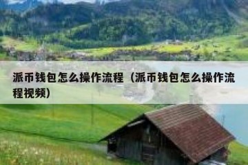 派币钱包怎么操作流程（派币钱包怎么操作流程视频）