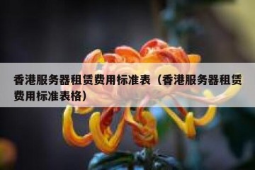 香港服务器租赁费用标准表（香港服务器租赁费用标准表格）