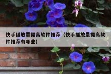 快手播放量提高软件推荐（快手播放量提高软件推荐有哪些）