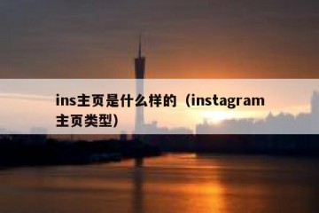 ins主页是什么样的（instagram主页类型）