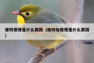 推特很慢是什么原因（推特加载慢是什么原因）