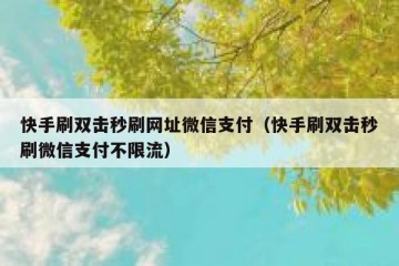 快手刷双击秒刷网址微信支付（快手刷双击秒刷微信支付不限流）