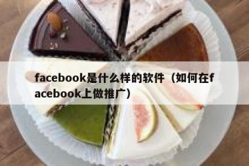 facebook是什么样的软件（如何在facebook上做推广）