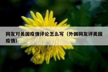 网友对美国疫情评论怎么写（外国网友评美国疫情）