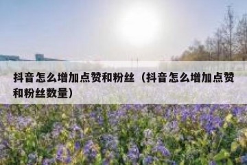 抖音怎么增加点赞和粉丝（抖音怎么增加点赞和粉丝数量）