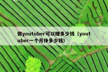 做youtuber可以赚多少钱（youtuber一个月挣多少钱）