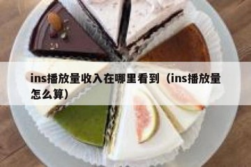 ins播放量收入在哪里看到（ins播放量怎么算）