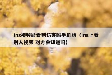 ins视频能看到访客吗手机版（ins上看别人视频 对方会知道吗）