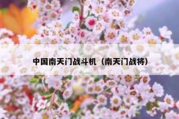 中国南天门战斗机（南天门战将）