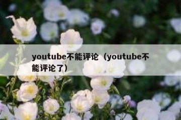 youtube不能评论（youtube不能评论了）