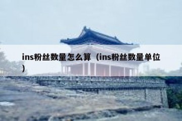 ins粉丝数量怎么算（ins粉丝数量单位）