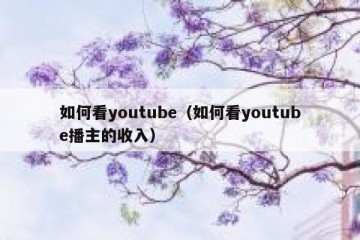 如何看youtube（如何看youtube播主的收入）