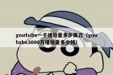 youtube一千播放量多少美刀（youtube3000万播放量多少钱）
