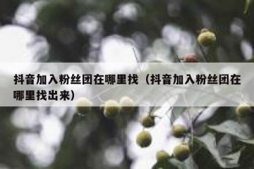 抖音加入粉丝团在哪里找（抖音加入粉丝团在哪里找出来）