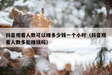 抖音观看人数可以赚多少钱一个小时（抖音观看人数多能赚钱吗）