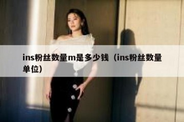 ins粉丝数量m是多少钱（ins粉丝数量单位）