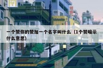 一个赞你的赞加一个名字叫什么（1个赞暗示什么意思）