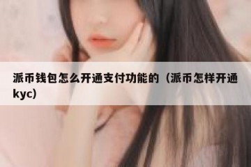 派币钱包怎么开通支付功能的（派币怎样开通kyc）