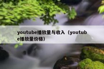youtube播放量与收入（youtube播放量价格）