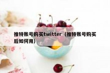 推特账号购买twitter（推特账号购买后如何用）