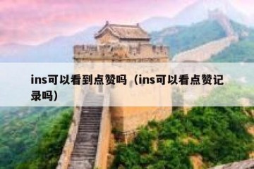 ins可以看到点赞吗（ins可以看点赞记录吗）