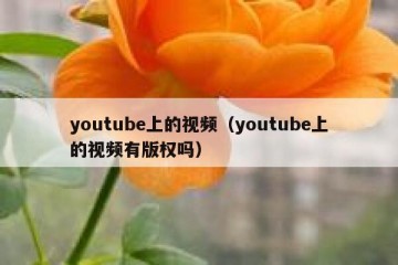 youtube上的视频（youtube上的视频有版权吗）