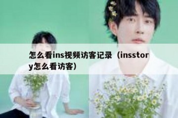 怎么看ins视频访客记录（insstory怎么看访客）