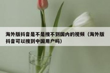 海外版抖音是不是搜不到国内的视频（海外版抖音可以搜到中国用户吗）