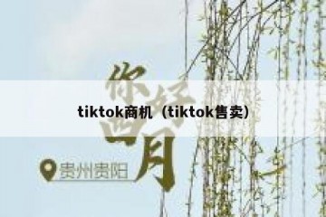 tiktok商机（tiktok售卖）