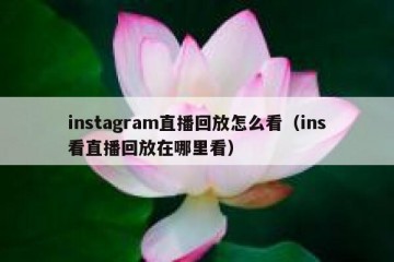 instagram直播回放怎么看（ins看直播回放在哪里看）