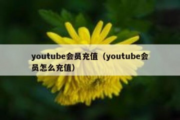 youtube会员充值（youtube会员怎么充值）