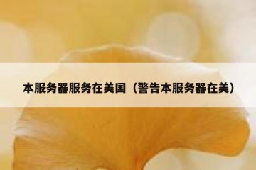 本服务器服务在美国（警告本服务器在美）