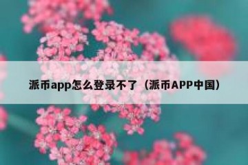 派币app怎么登录不了（派币APP中国）