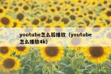 youtube怎么后播放（youtube怎么播放4k）