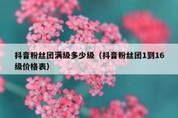 抖音粉丝团满级多少级（抖音粉丝团1到16级价格表）