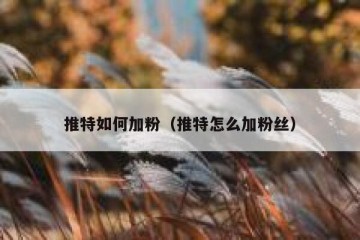 推特如何加粉（推特怎么加粉丝）