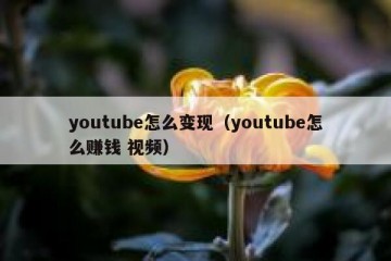 youtube怎么变现（youtube怎么赚钱 视频）