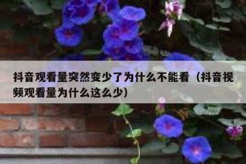 抖音观看量突然变少了为什么不能看（抖音视频观看量为什么这么少）
