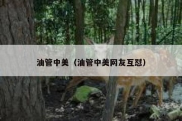 油管中美（油管中美网友互怼）